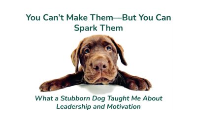 You Can’t Make Them – But You Can Spark Them
